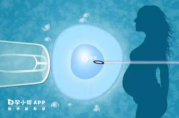 年齡是影響試管成功率的重要因素