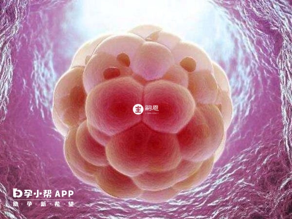八月份移植对胚胎着床没用影响