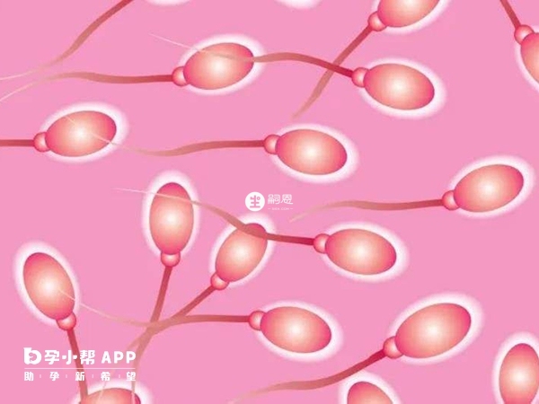 寧波沒有精子庫