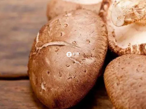 香菇  能補脾胃,益氣