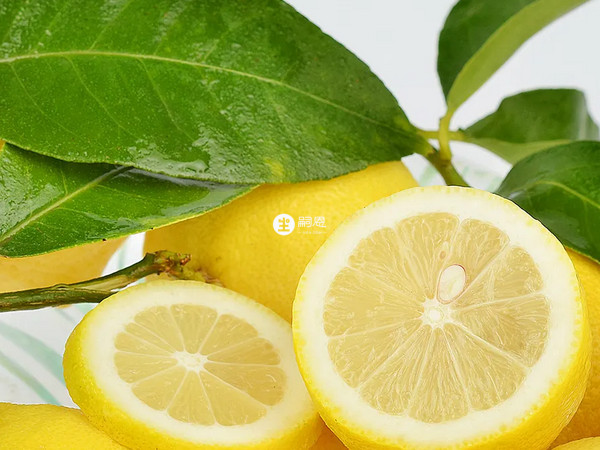 可以多吃維生素c含量高的食物