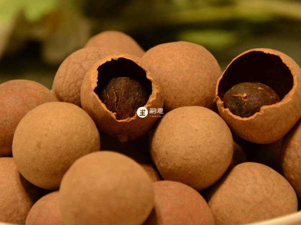 有婦科疾病的不能吃桂圓乾