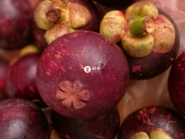 山竹吃多的危害