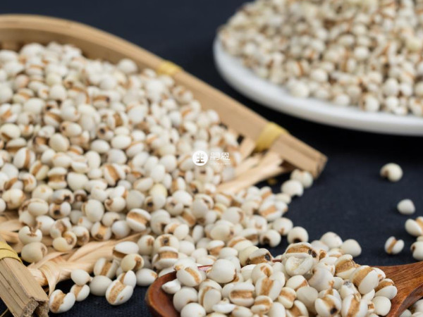 薏米茶非常适合男性饮用