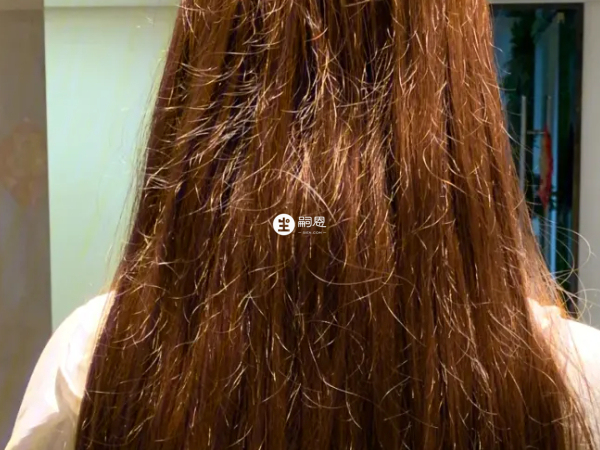 頭髮摸起來很油膩