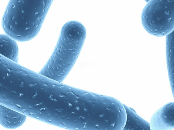 益生菌可以降低膽固醇