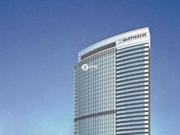 武漢市中西醫結合醫院