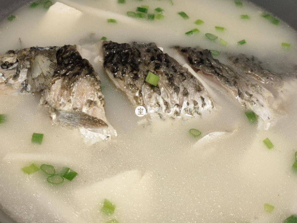 坐月子的女性可以喝鯽魚湯幫助催乳