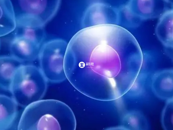 提高卵泡個數和質量的方法