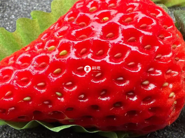 草莓營養價值高,營養豐富