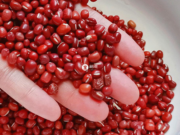 紅豆有健脾補腎、理氣通經、健脾和胃的功效