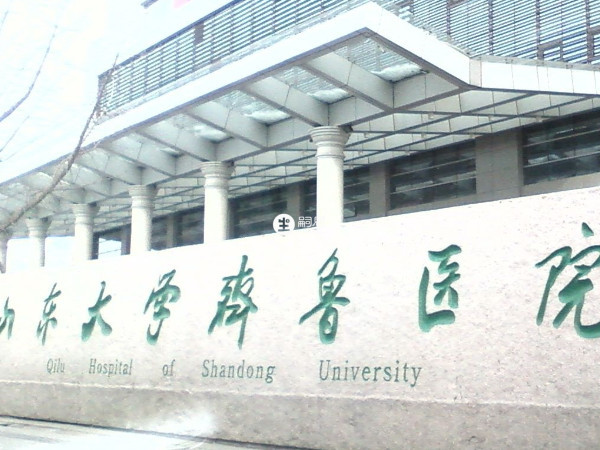 山東大學齊魯醫院