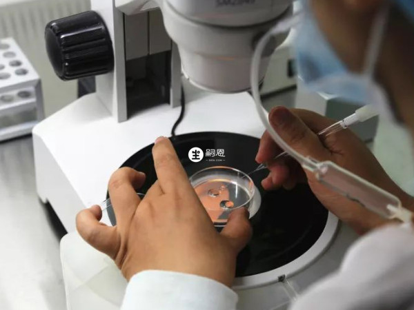 遺傳性無精子症一般建議做三代試管嬰兒