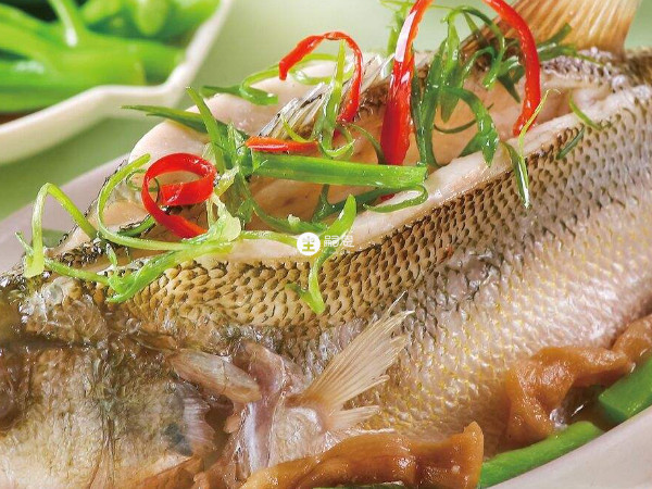 不要吃鱼、羊肉等富含蛋白质的产奶食物