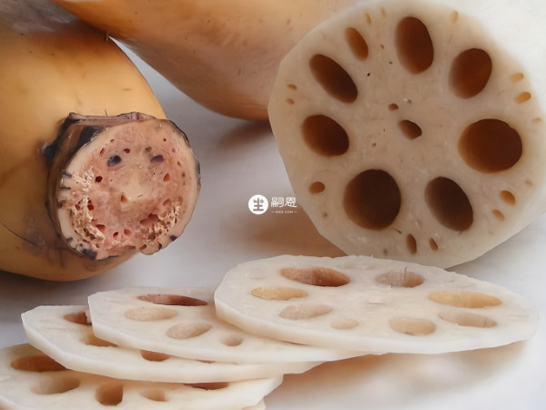 是不利於其身體內毒素的排出