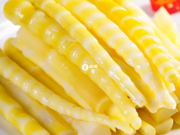 竹笋是凉性食物