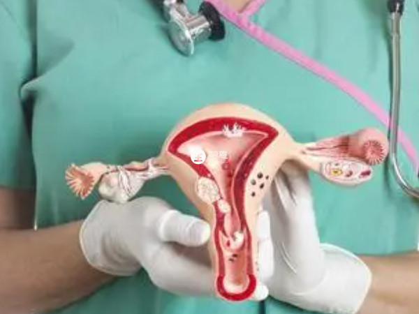 子宮異常也會出現胎停的情況