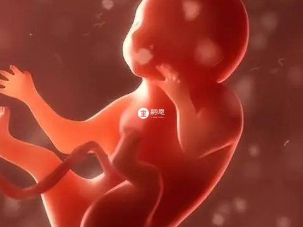 女性在不滿3個月需要保胎休息