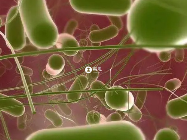 不低於70℃的水溫可以殺死細菌