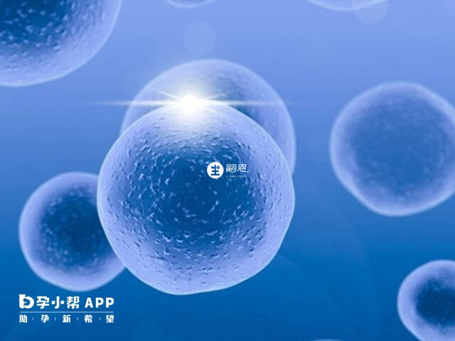 移植後放屁和肝素無關