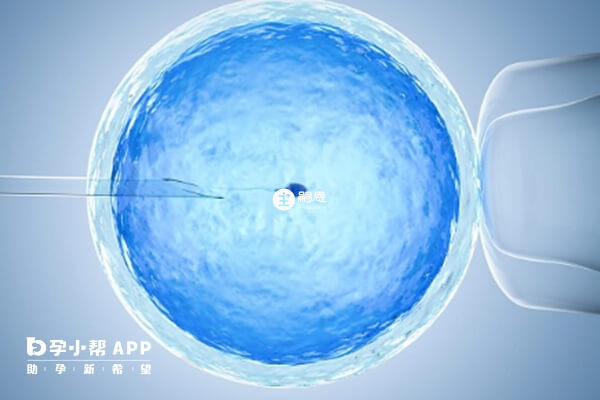 卵泡黃素化能否進行試管治療