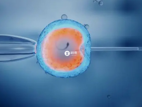 卵泡黃素化一代試管成功率