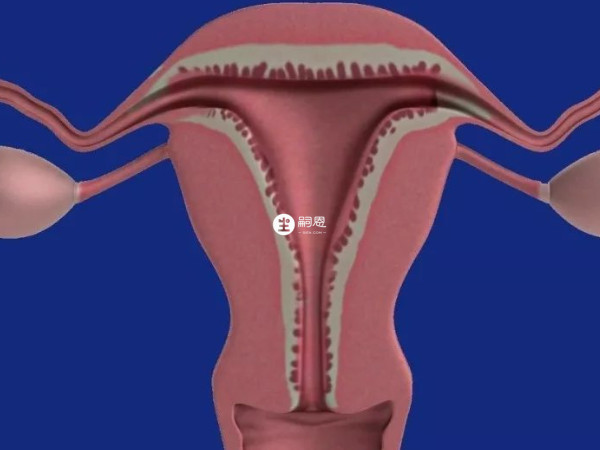 宮寒會影響子宮生殖環境