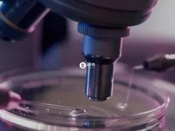 美國試管嬰兒性別選擇價格