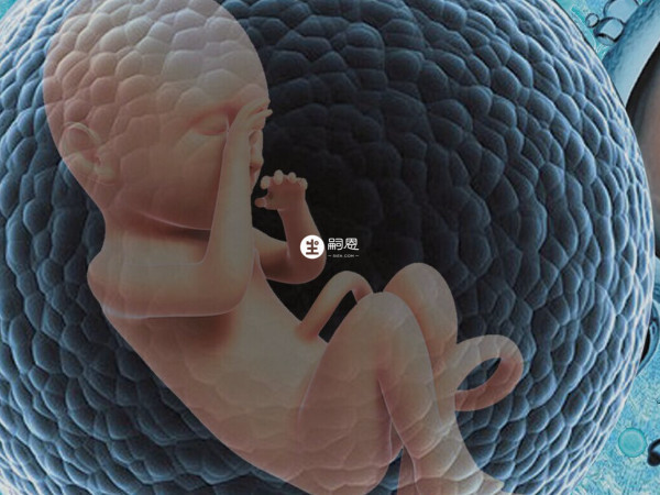 泰國bnh試管嬰兒攻略