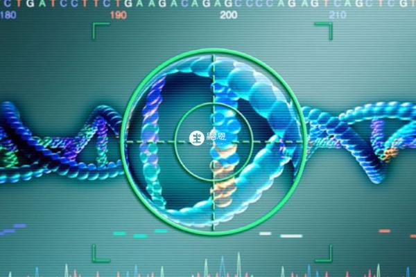 做試管嬰兒需要做宮腔鏡