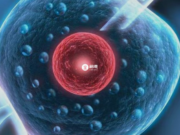 降調和不降調的優缺點對比