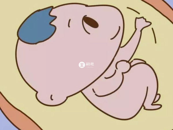 男孩和女孩胎動出現的時間不同