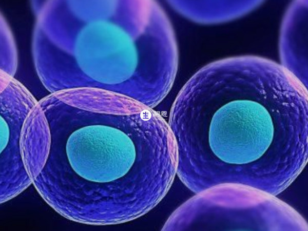 沒有優勢卵泡做試管嬰兒