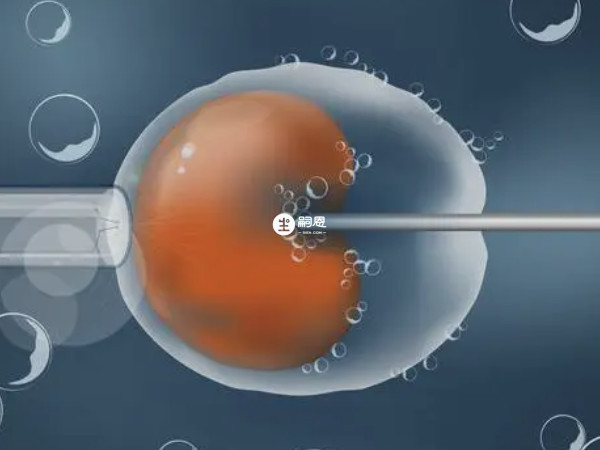 美國可以做試管嬰兒