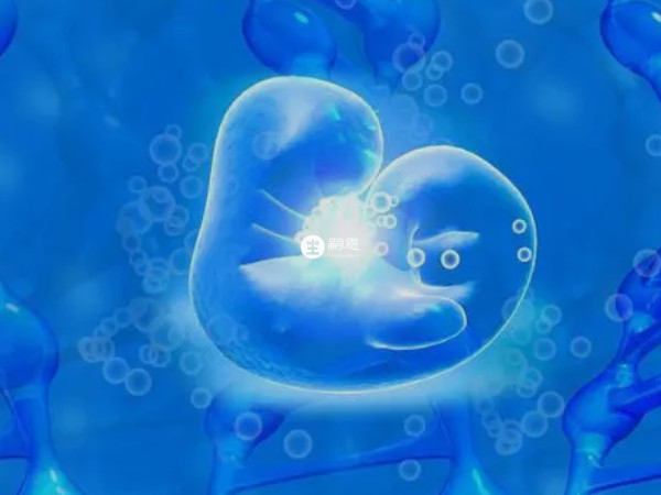 上海市一妇婴可以做供卵试管婴儿