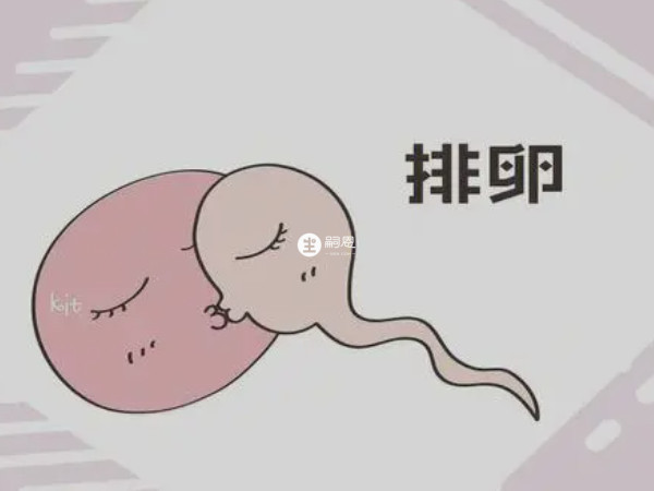 觀察宮頸粘液確定排卵日期