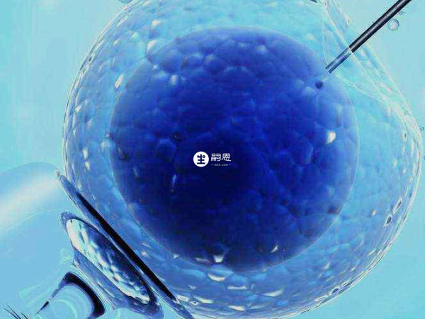 上海長海醫院可以做三代試管嬰兒