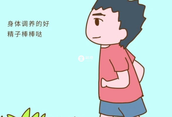 調養好身體可以提高生男孩機率