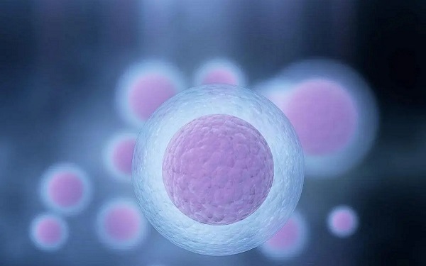 優勢卵泡直徑範圍