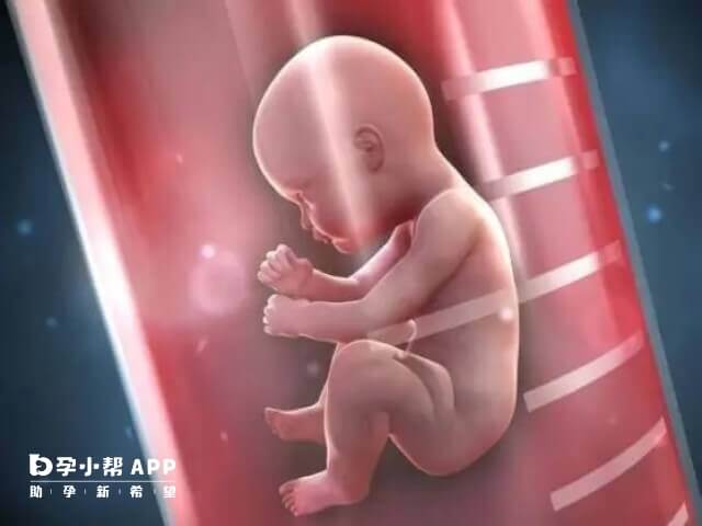 重慶試管嬰兒總費用明細