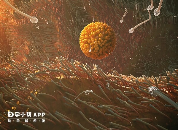 去深圳做試管嬰兒具體流程