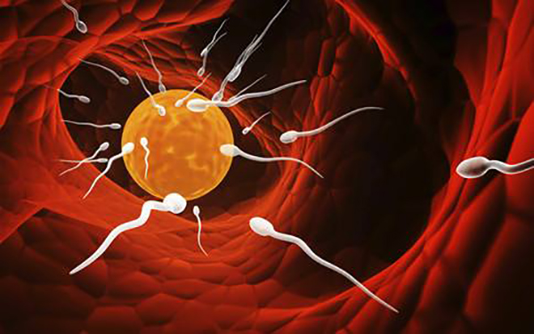 一般肚子痛出現在排卵時或者排卵後