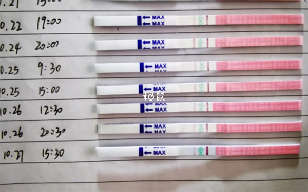 排卵日體溫變化