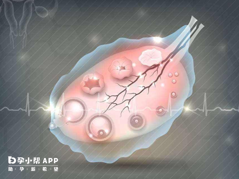 夜針能促進卵泡生長
