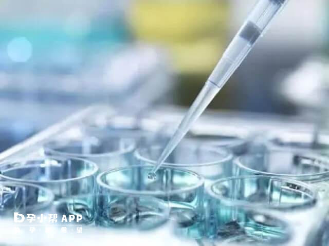 試管胚胎診斷與篩查