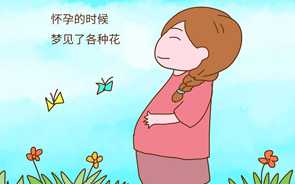 梦见花丛蝴蝶翩翩起舞暗示生女孩
