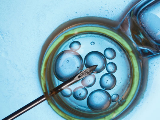 53歲絕經女性不可以做試管嬰兒