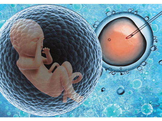 雙側輸卵管切除可以選擇試管嬰兒受孕