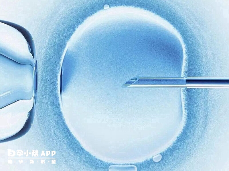 國內禁止A卵B懷