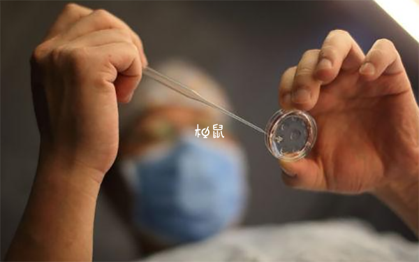 人工移冻胚要一个月